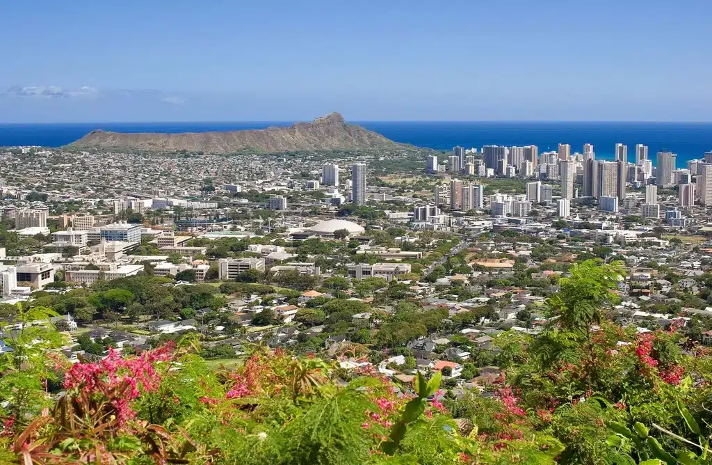 waipahu movers