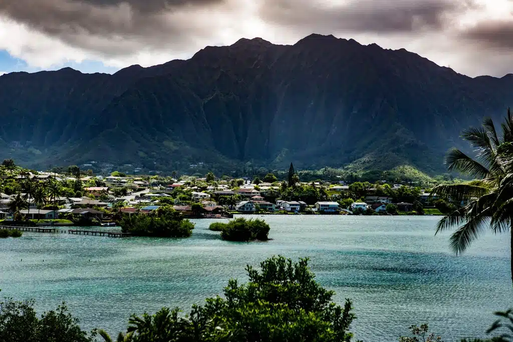 kaneohe movers