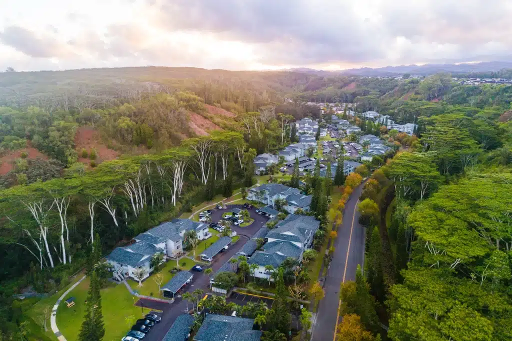 mililani movers