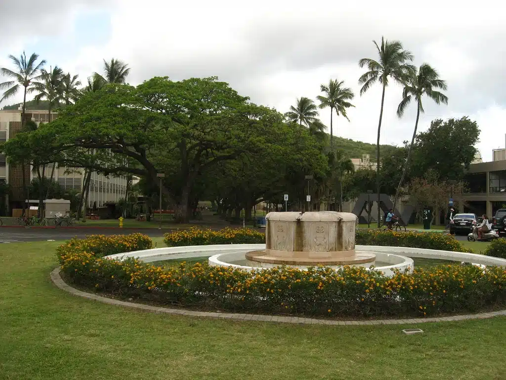 manoa movers
